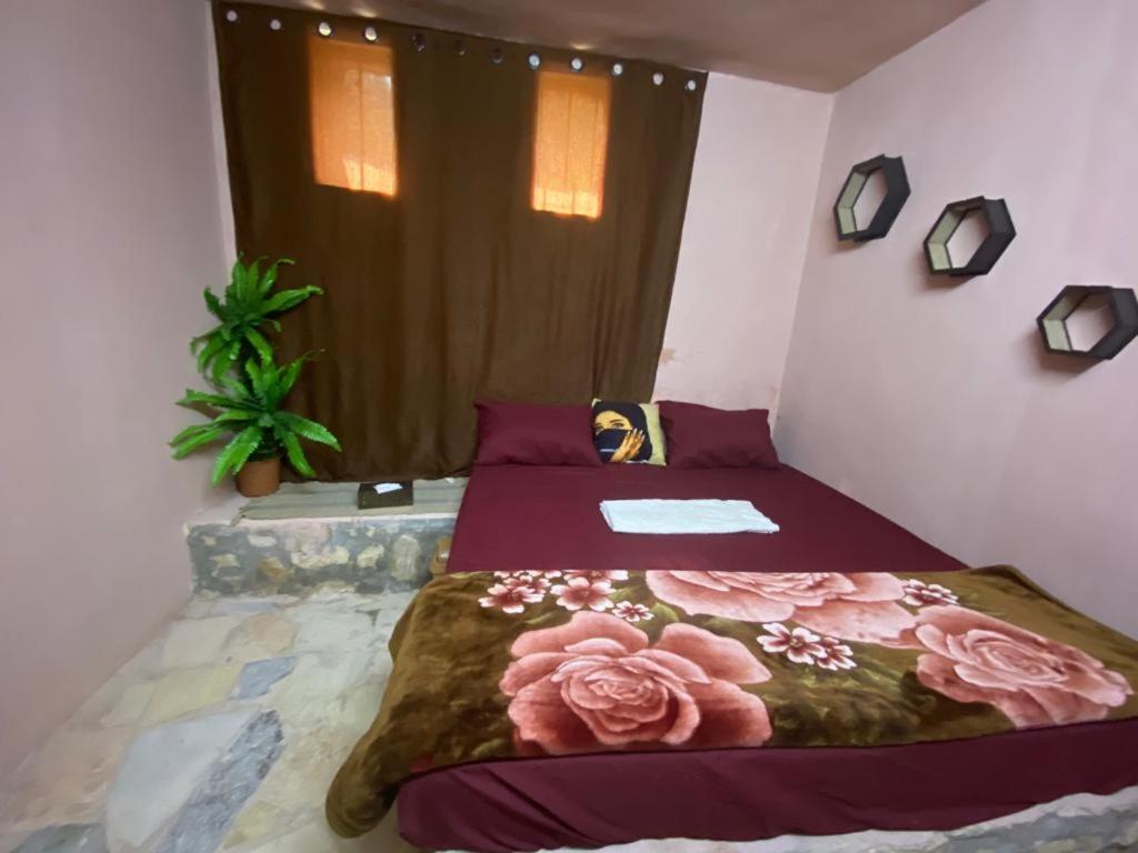 Dana Guesthouse Chambre photo